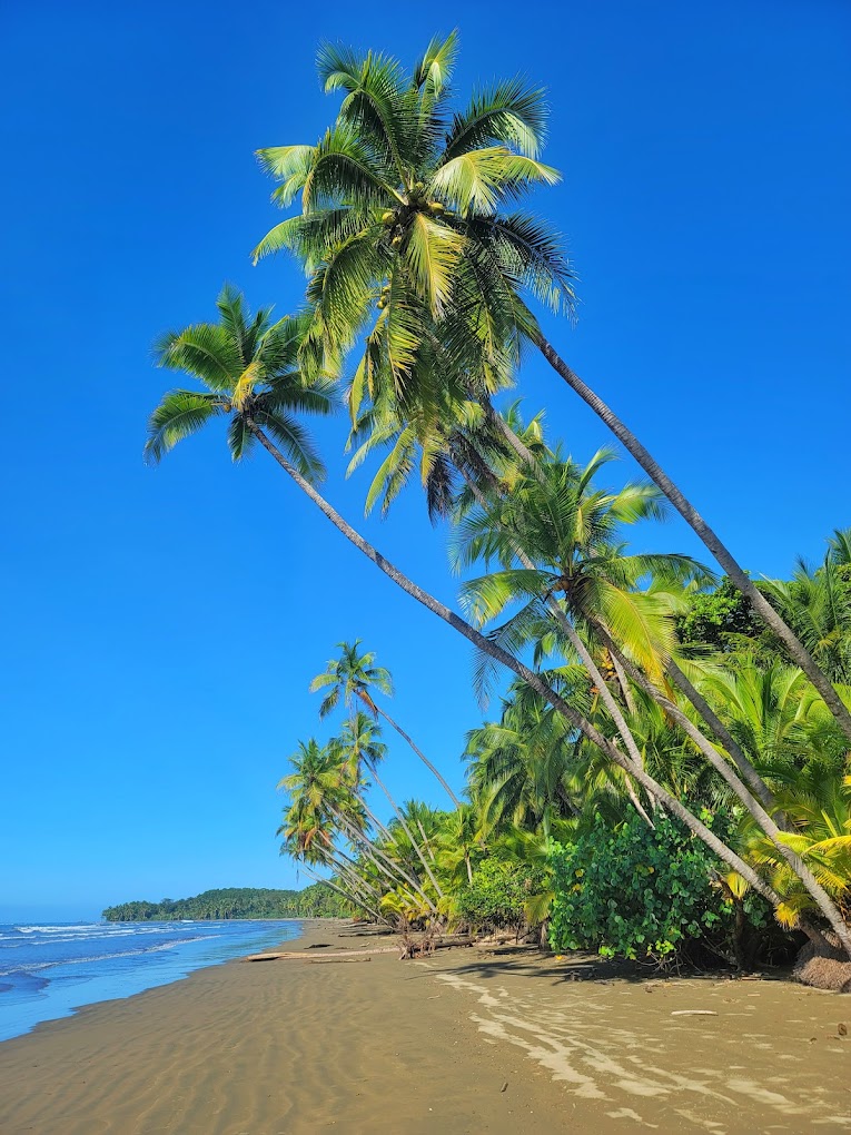 Tropical beach in Costa Rica